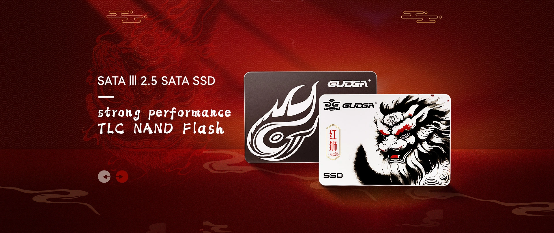 Hochwertiger 2,5 SATA SSD Großhandelshersteller