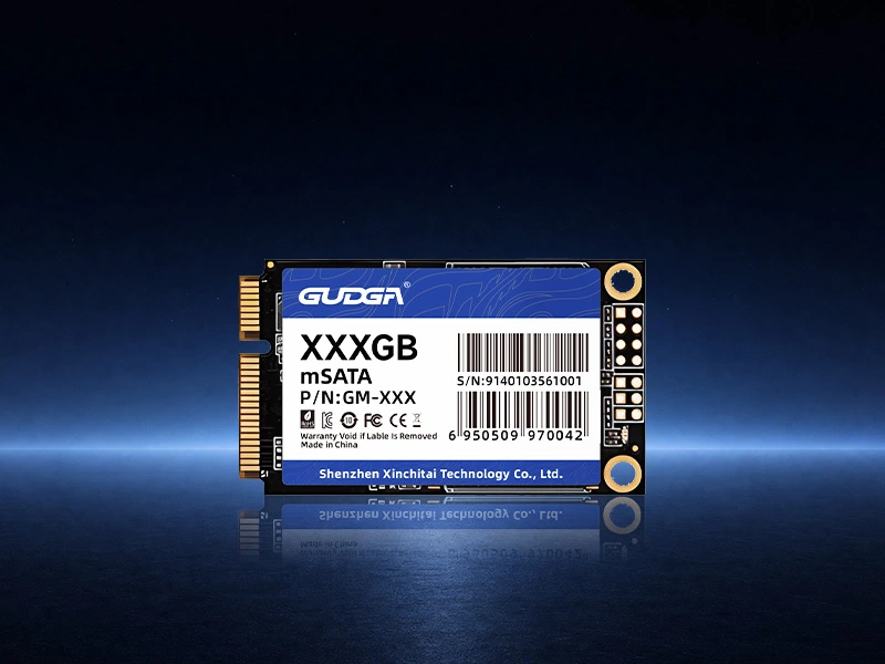 mSATA-SSD