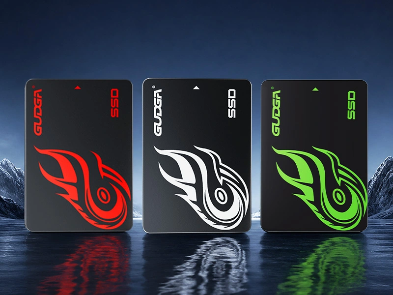 2,5 SATA SSD