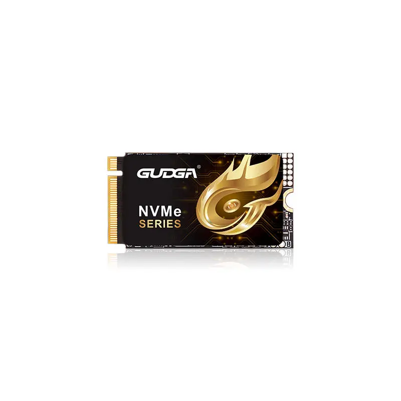 2242 Länge PCIE 4.0 NVMe SSD 7000 MB/s